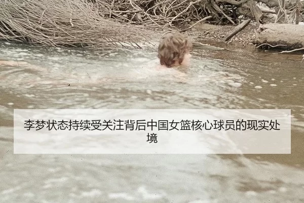 李梦状态持续受关注背后中国女篮核心球员的现实处境
